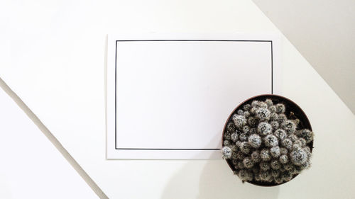 Directly above shot of cigarette on table against white background