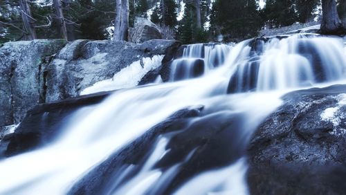 Scenic view of waterfall in forest