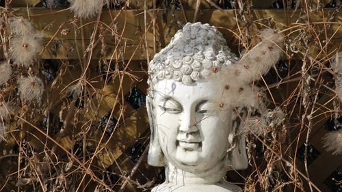 Close-up of statue against plants