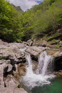 Scenic view of river flowing through rocks