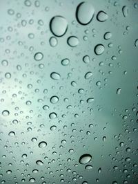 Close-up of water drops on leaf