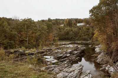 River flowing in forest against clear sky