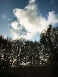 Low angle view of silhouette trees against sky