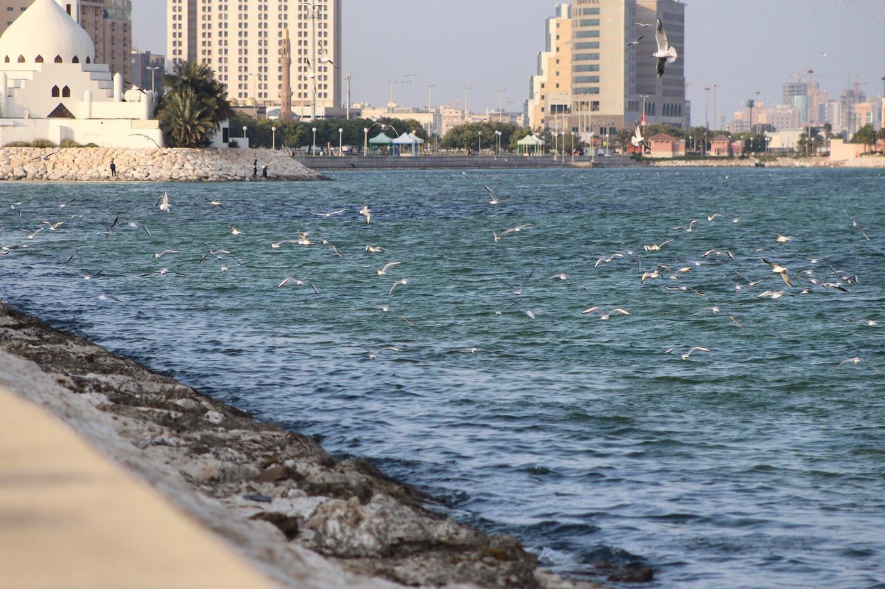 city, building exterior, architecture, built structure, water, sea, skyscraper, cityscape, outdoors, day, urban skyline, real people, nature, sky