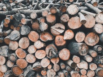 Full frame shot of logs in forest