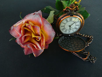 Close-up of rose on table