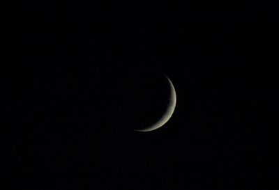 Low angle view of moon in sky at night