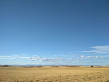 Scenic view of agricultural field against blue sky