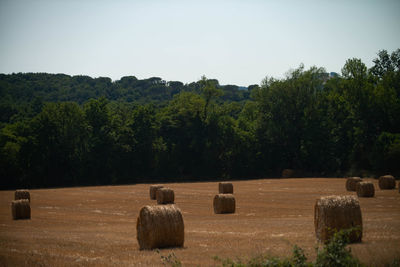 Hay bales on field against sky