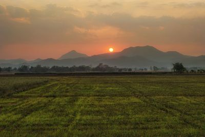 Scenic view of field against sky during sunset