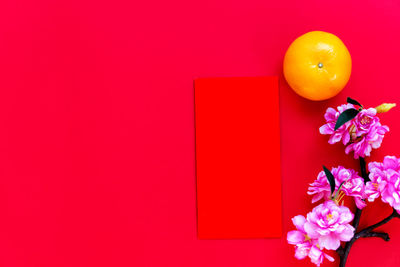 Directly above shot of pink flower against red background