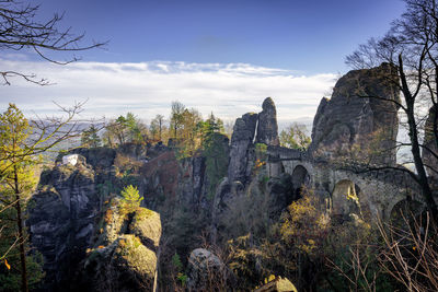 Plants growing on rock against sky