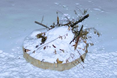 High angle view of crocodile in water