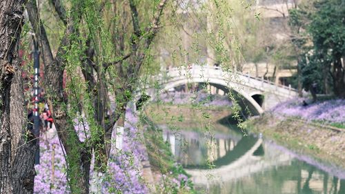 View of bridge over river