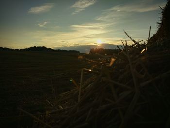 Scenic view of field against sky during sunset