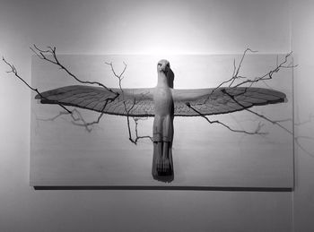 creativity