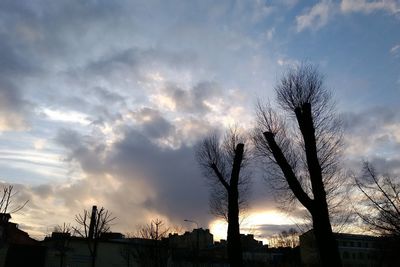 Low angle view of silhouette bare trees against sky