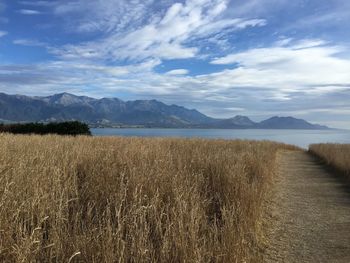 Scenic view of landscape against sky