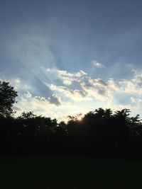 Silhouette trees on field against sky at sunset