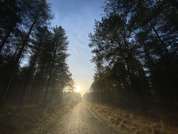 Dirt road amidst trees in forest against sky