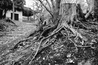 Built structure with trees in background