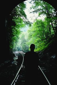 Tunnel in forest