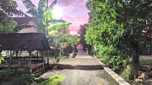 Footpath amidst trees and buildings against sky