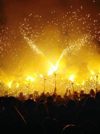 Crowd enjoying at music concert