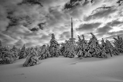 Snow covered trees on field against sky