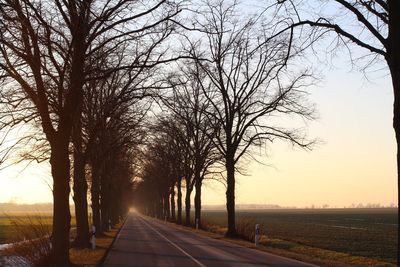 Road amidst bare trees against sky