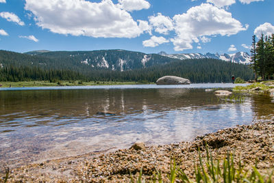 Scenic view of lake in forest against sky