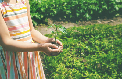 Midsection of girl holding plant while standing outdoors