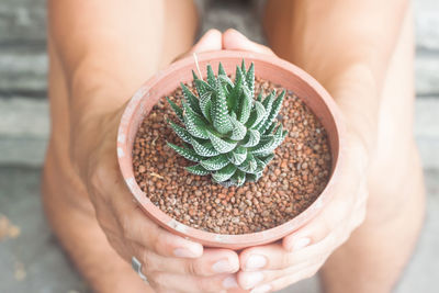 Close-up of woman holding potted plant