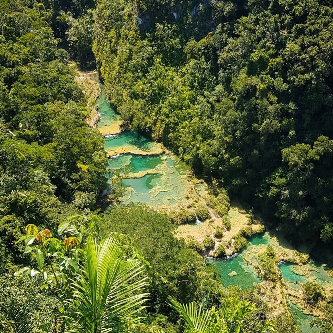 HIGH ANGLE VIEW OF RIVER AMIDST TREES AT FOREST