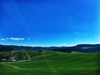 Scenic view of agricultural field against blue sky