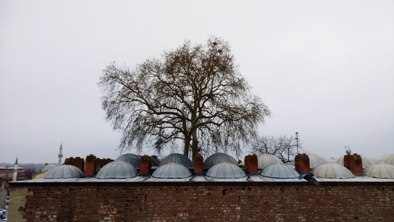 tree, bare tree, architecture, built structure, roof, building exterior, outdoors, clear sky, day, no people, sky, nature