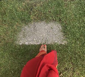 Low section of woman standing on grass