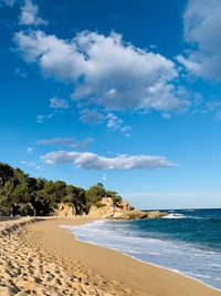 Scenic view of beach against blue sky