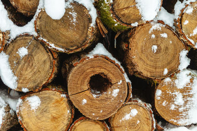 Full frame shot of logs in forest