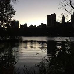 Reflection of buildings in river