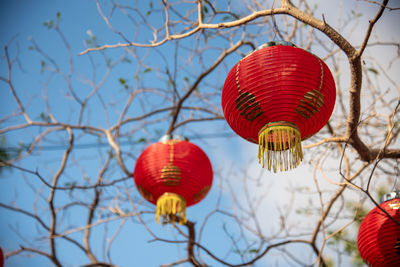 Low angle view of lanterns hanging on tree