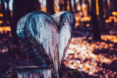 Close-up of heart shape on wooden post in forest