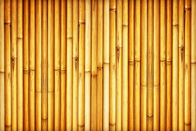 Full frame shot of bamboo on wall