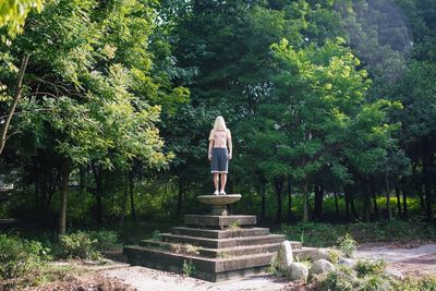 Rear view of man standing on staircase in forest