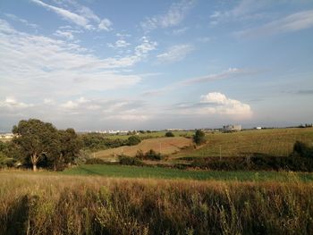 Scenic view of field against sky