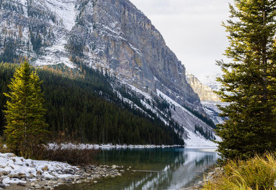 Scenic view of lake in forest against sky