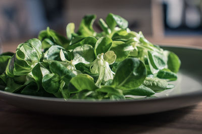 Close-up of salad in plate on table