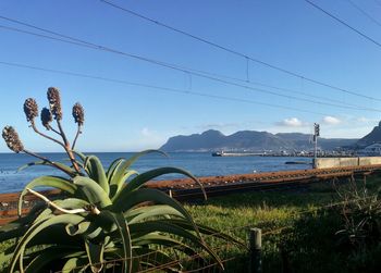 Scenic view of bay against sky