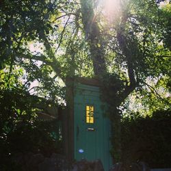 Low angle view of trees