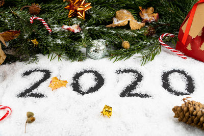 View of christmas tree in snow